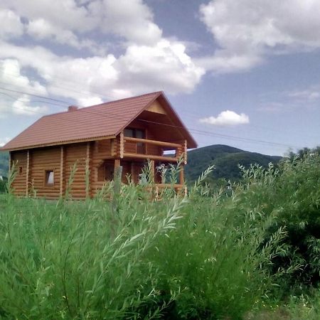 Sadyba Verhovynka Holiday home Nizhneye Selishche Exterior photo